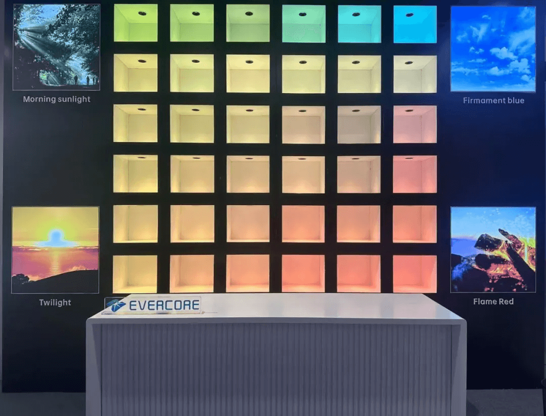 Gathering in HongKong International Lighting Fair (Autumn Edition) look back