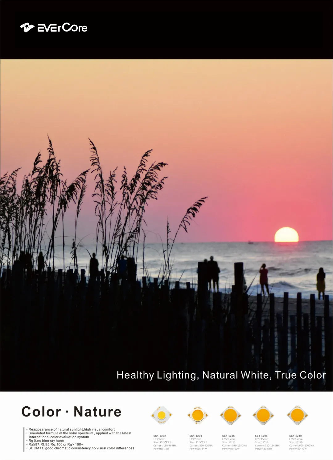 Evercore | Review of Hong Kong Autumn Lantern Exhibition