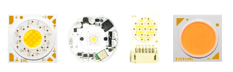 Introducción Evercore