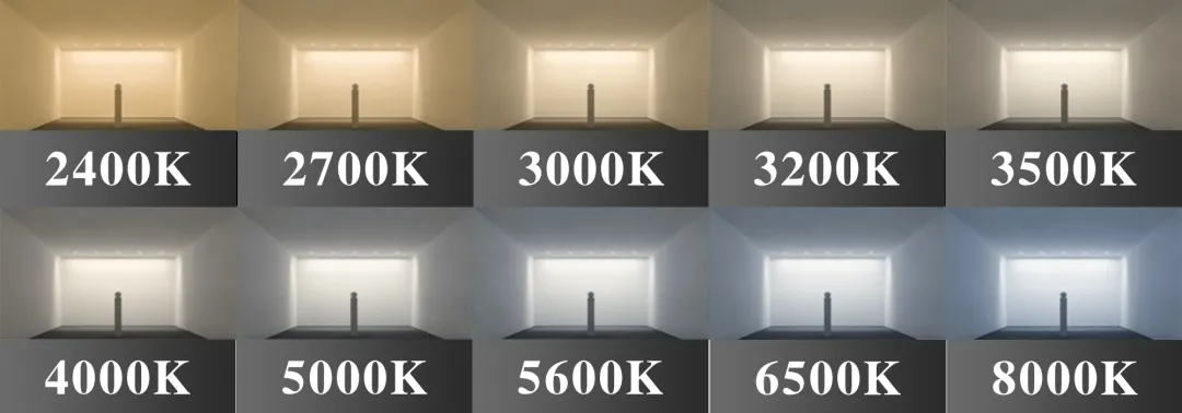 Evercore CCT Tunable COB Series Special Topic