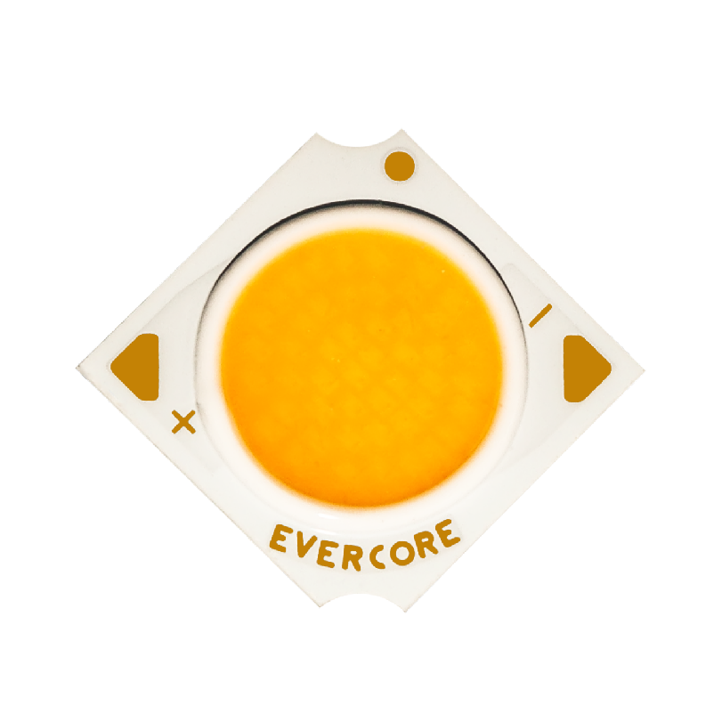 Introducción Evercore