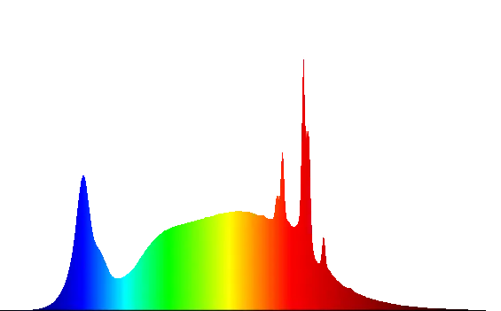 Introducción Evercore