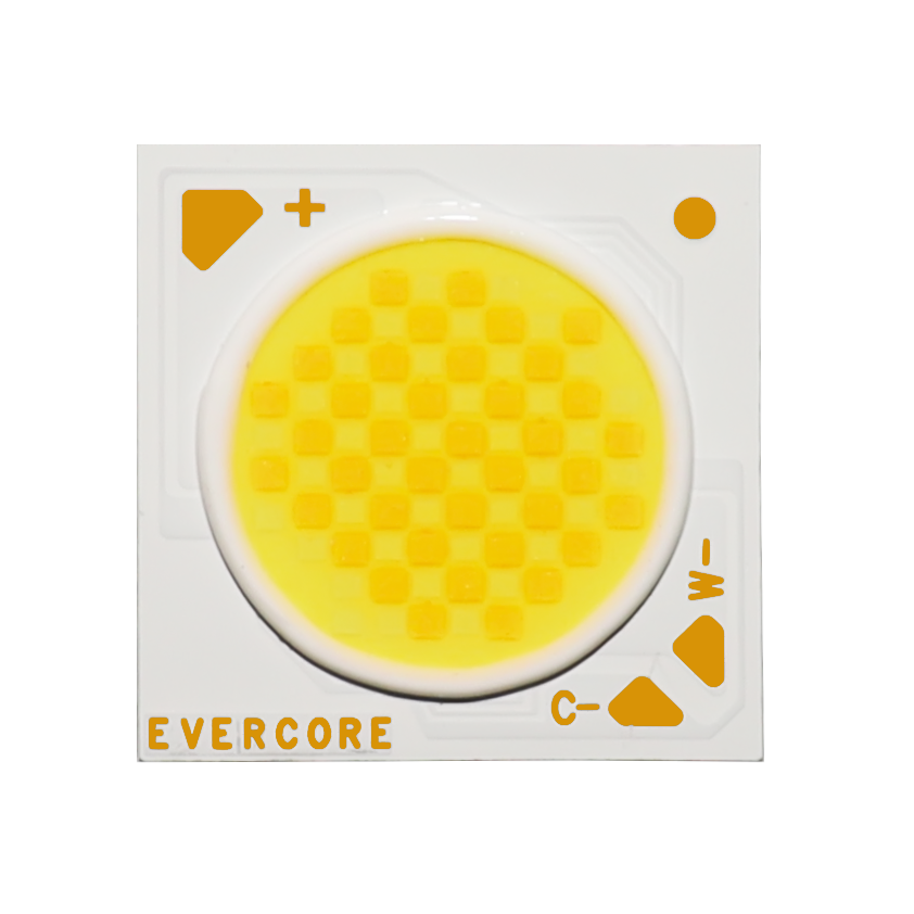 Introducción Evercore