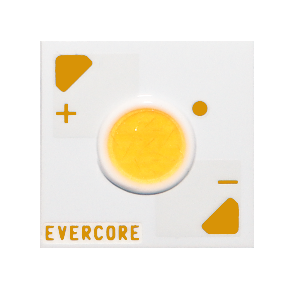 Introducción Evercore