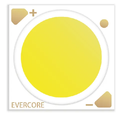 Evercore Constant Voltage COB Series Special Topic