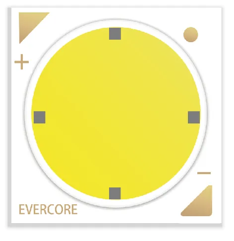 Evercore Constant Voltage COB Series Special Topic
