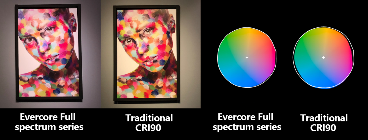 Evercore Full Specturm Series Topic