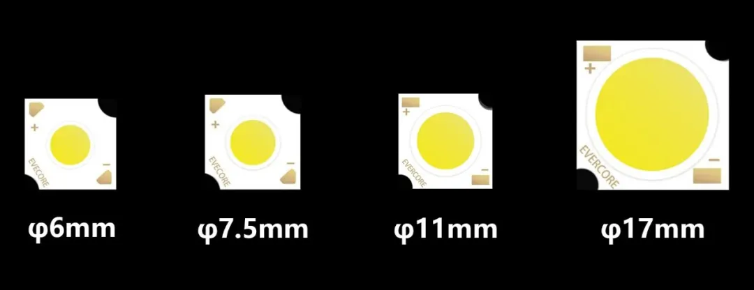 Evercore Full Specturm Series Topic