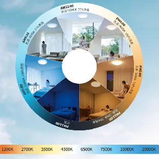 Evercore RGBCW Series Topic