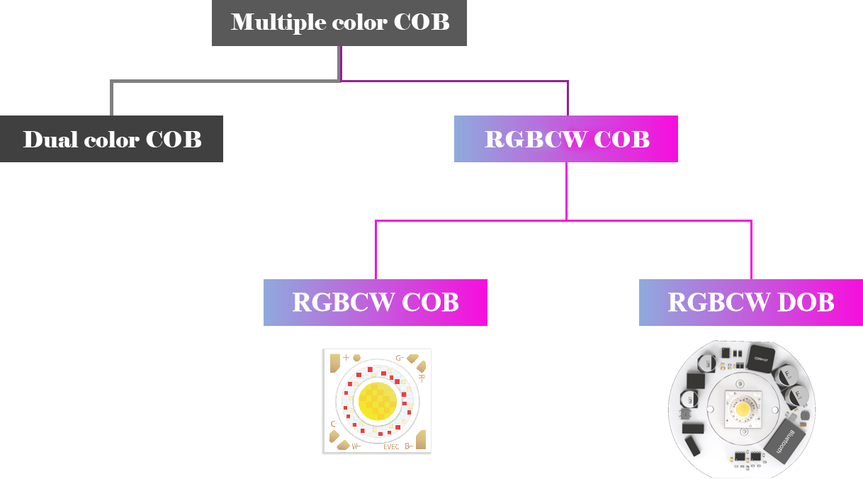Evercore RGBCW Series Topic
