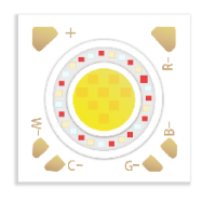 Evercore RGBCW Series Topic