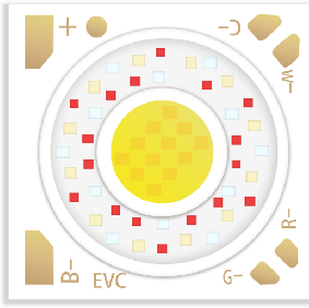 Evercore RGBCW Series Topic