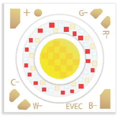 Evercore RGBCW Series Topic