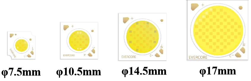 Evercore Constant Voltage COB Series Special Topic
