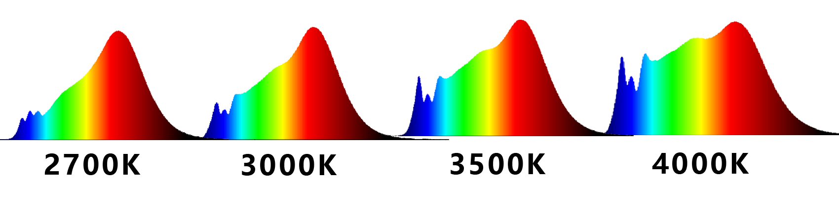 Evercore Full Specturm Series Topic